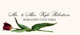 Tulip Bulbs Place Cards