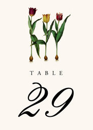 Tulip Bulbs Table Numbers