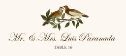 Brown Birds Place Cards