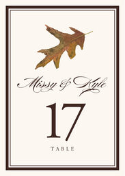 Colorful Leaves Assortment 01  Table Numbers