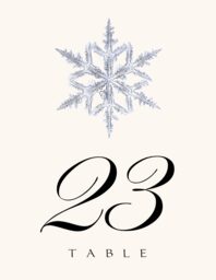 Snowflake 03 Table Numbers