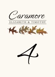 Leaf Pattern Assortment  Table Numbers