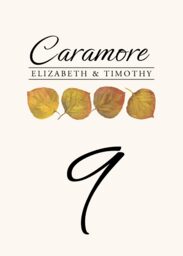 Leaf Pattern Assortment  Table Numbers