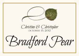 Twisty Leaves Table Names