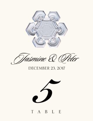 Winter Snowflake Assortment Wedding Table Numbers and Winter and ...