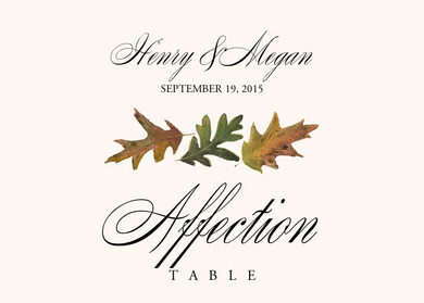 Autumn Leaves Set Names On White Stock Vector Royalty Free