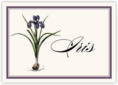 iris bulb flower table cards table names table numbers tent style place cards