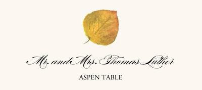 Assorted Colorful Leaves