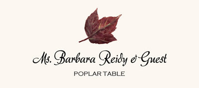 Poplar Colorful Leaf