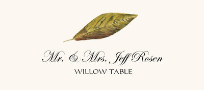 Willow Colorful Leaf