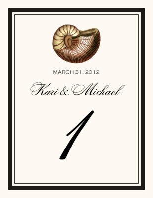 Antique Seashell Collector