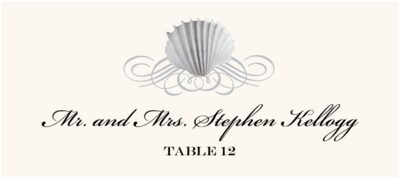 Seashell Scallop Swirl