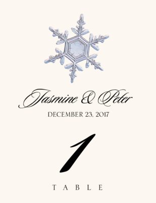 Snowflake Assortment