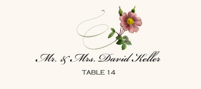 Wild Pink Rose Swirl