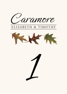 Leaf Pattern Assortment