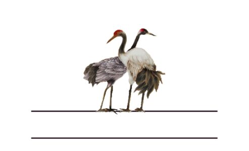 Monogram: Compassionate Cranes Chinese Monogram