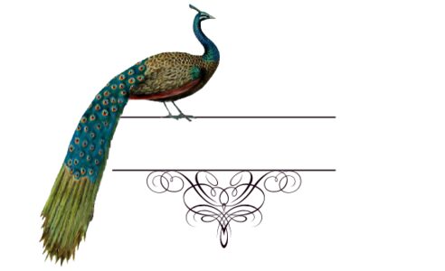 Monogram: Peacock Flourish Indian Monogram