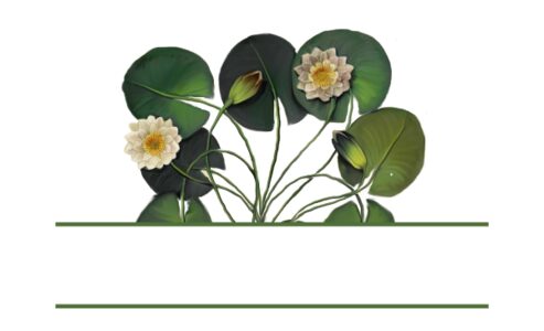 Monogram: Waterlily Patch Botanical Monogram