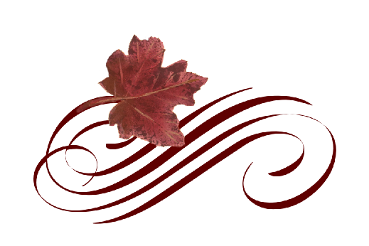 Leaf Flourish 10 Spring Flowers, Autumn Leaves, Grapes Wedding Illustration