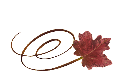 Swirly Red Maple Leaf Spring Flowers, Autumn Leaves, Grapes Wedding Illustration