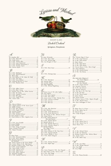 Birdnest in Apple Basket Birds and Butterflies Seating Charts