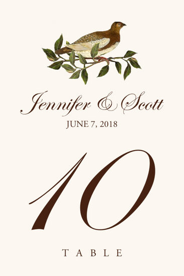 Brown Birds Birds and Butterflies Table Numbers