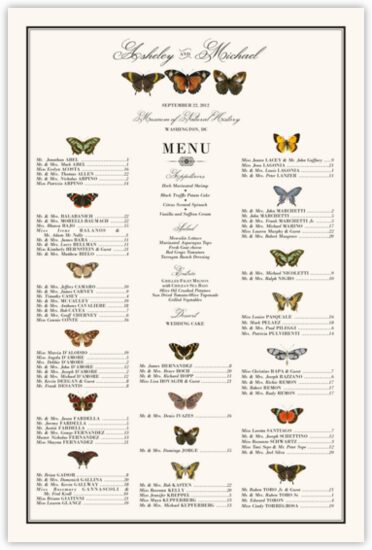 Butterfly Collector Birds and Butterflies Seating Charts