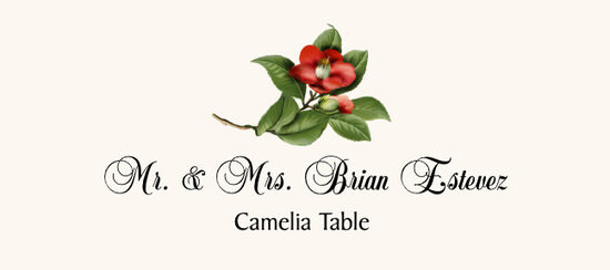 Camellia 01