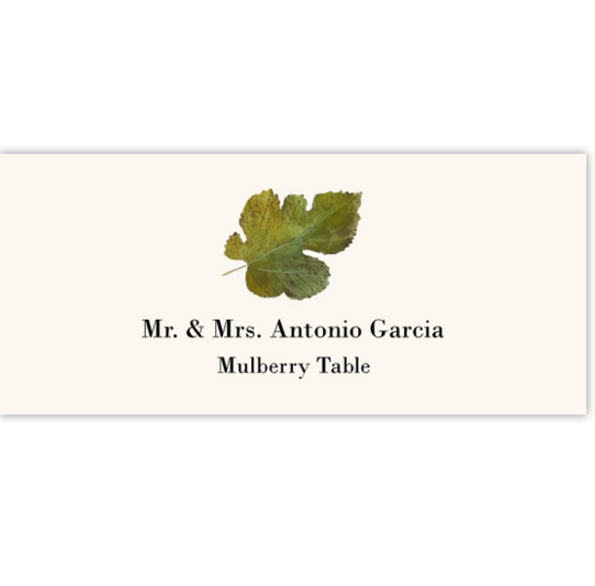 Mulberry Colorful Leaf Autumn/Fall Leaves Place Cards