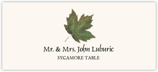 Sycamore Colorful Leaf Autumn/Fall Leaves Place Cards
