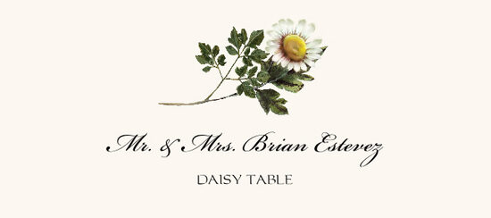 Daisy