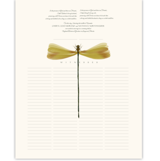 Dragonfly Wings Birds and Butterflies Wedding Certificates