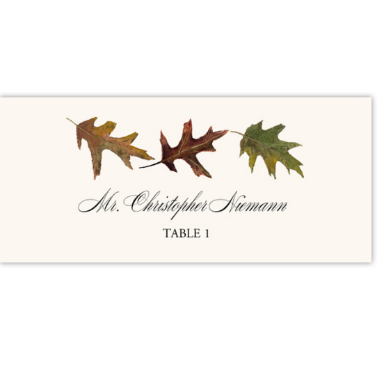Leaf Pattern Assortment Autumn/Fall Leaves Place Cards