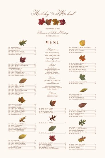 Leaf Collector