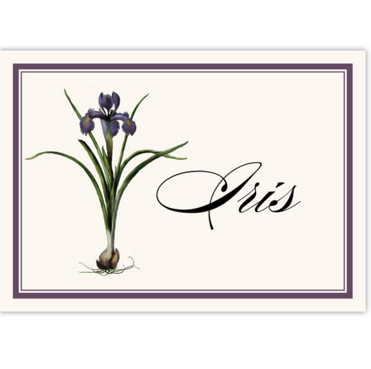 Iris Bulb