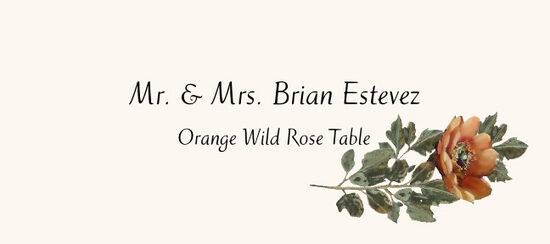 Orange Wild Rose