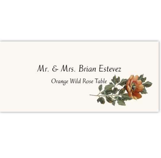 Orange Wild Rose