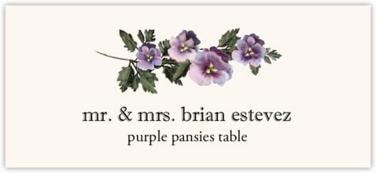 Purple Pansies