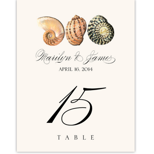 Seashell Pattern 01 Beach and Seashell Table Numbers