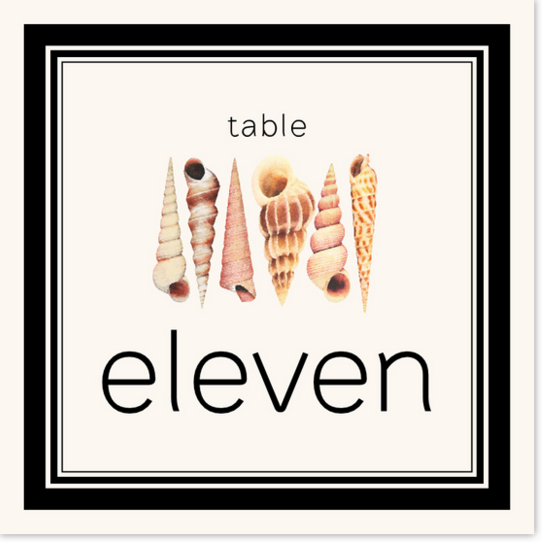 Seashell Pattern 09 Beach and Seashell Table Numbers