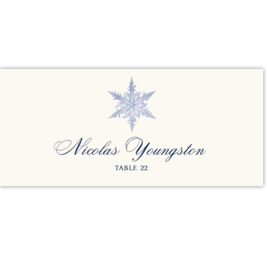 Snowflake 06 Winter, Snowflake, and Holiday Place Cards