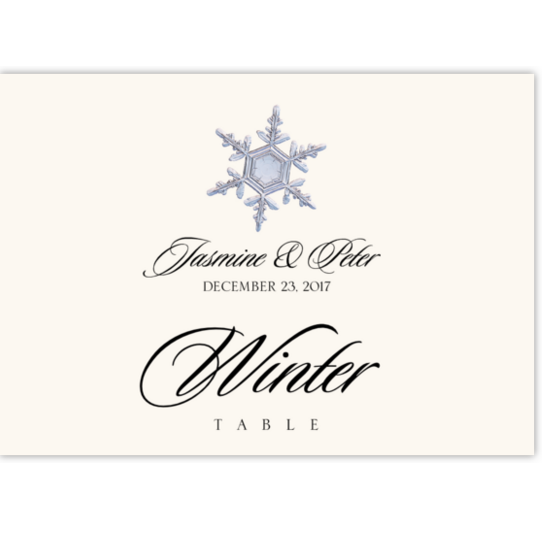 Snowflake Assortment Winter, Snowflake, and Holiday Table Names