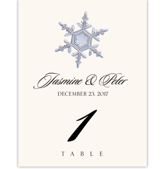 Snowflake Assortment Winter, Snowflake, and Holiday Table Numbers