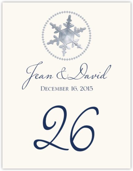 Snowflake Pattern 08 Winter, Snowflake, and Holiday Table Numbers