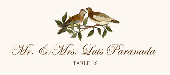 Brown Birds Birds and Butterflies Place Cards