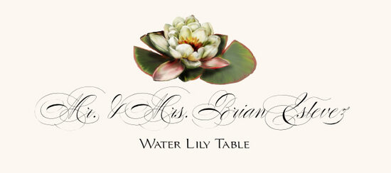 Water Lily