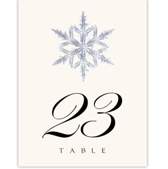 Snowflake 03 Winter, Snowflake, and Holiday Table Numbers