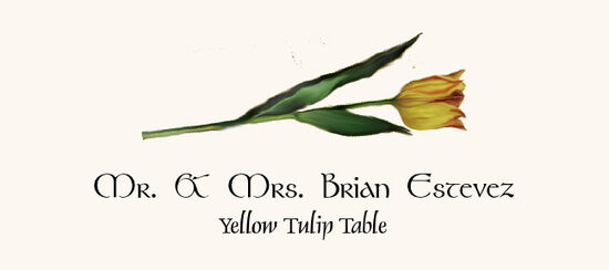 Yellow Tulip