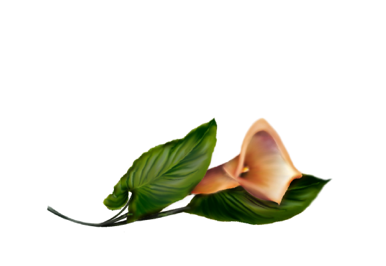 Spring Flowers, Autumn Leaves, Grapes Calla Lily (orange) Artwork