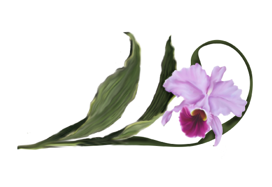 Spring Flowers, Autumn Leaves, Grapes Cattleya Orchid Artwork